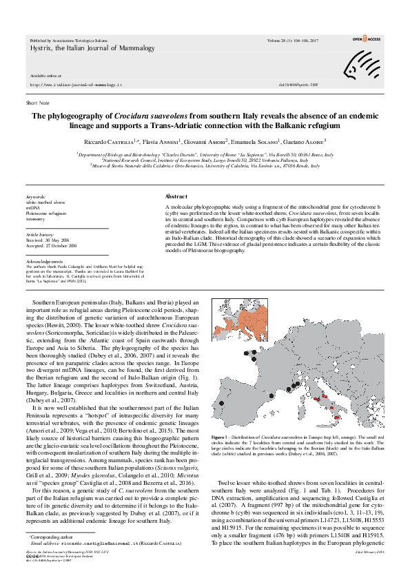 (PDF) The phylogeography of Crocidura suaveolens from southern Italy ...