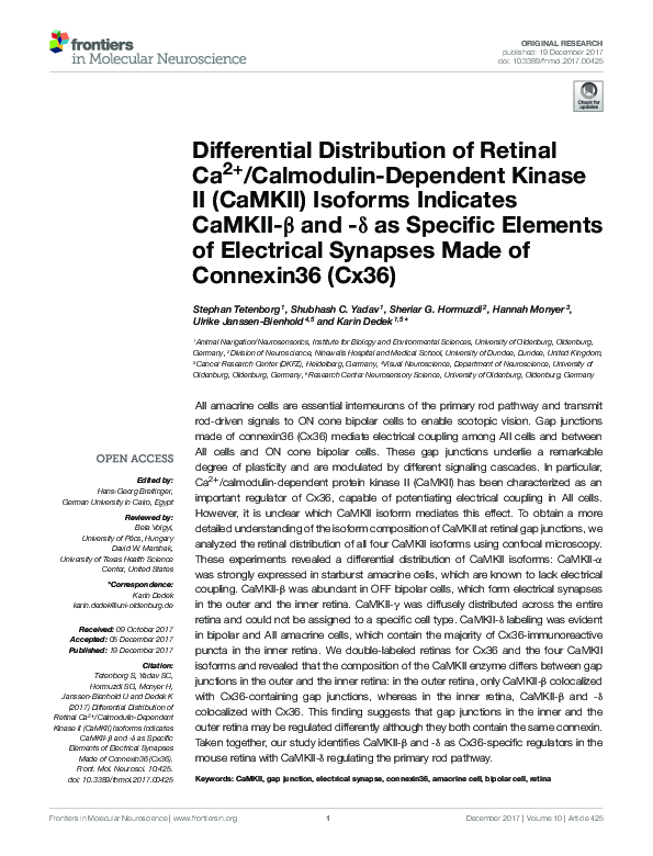 (PDF) Differential Distribution of Retinal Ca2+/Calmodulin-Dependent ...