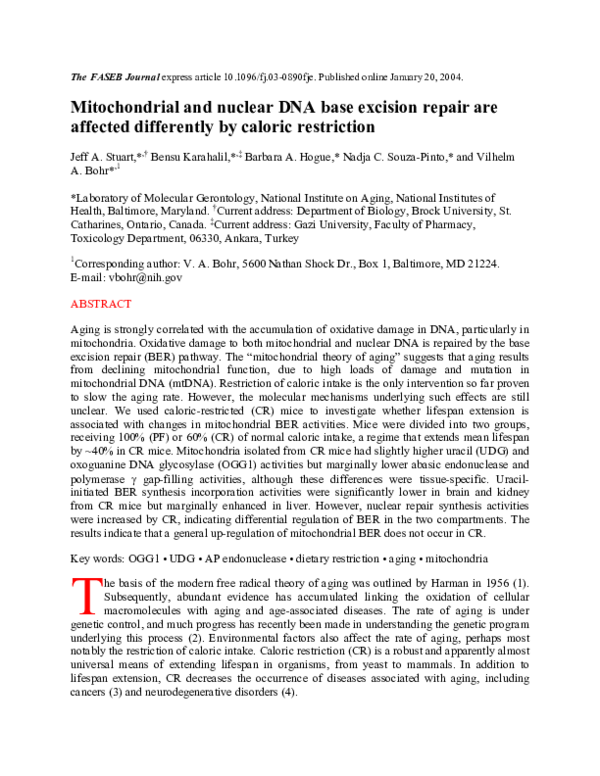 (PDF) Mitochondrial and nuclear DNA base excision repair are affected ...