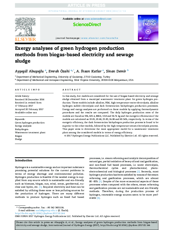 (PDF) Exergy analyses of green hydrogen production methods from biogas ...