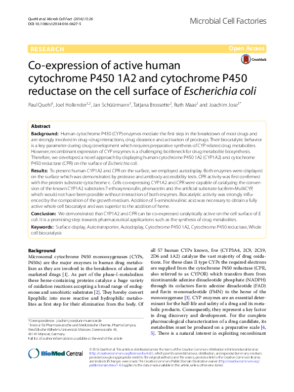 (PDF) Co-expression of active human cytochrome P450 1A2 and cytochrome ...