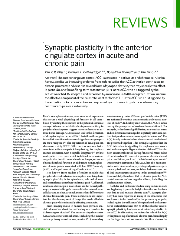 (PDF) Synaptic plasticity in the anterior cingulate cortex in acute and ...