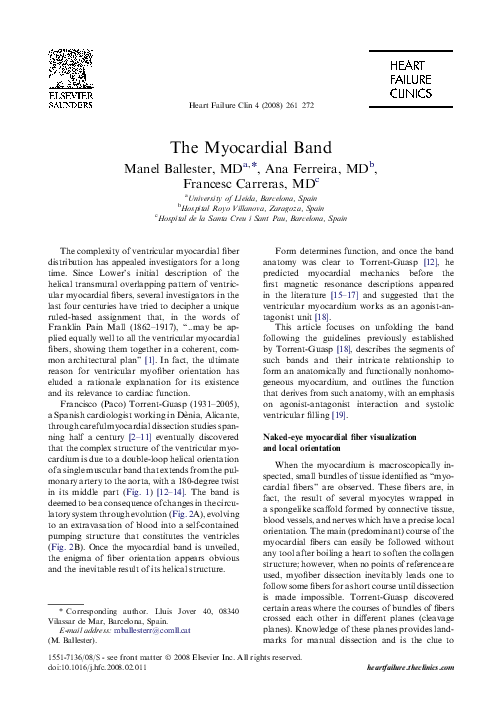 (PDF) The myocardial band