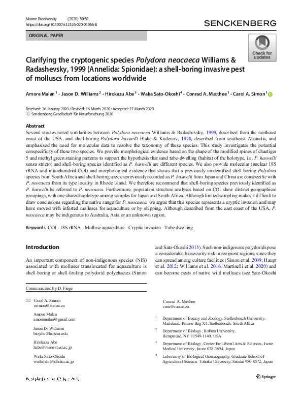 (PDF) Clarifying the cryptogenic species Polydora neocaeca Williams ...