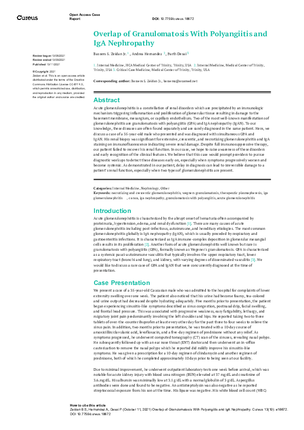 (PDF) Overlap of Granulomatosis With Polyangiitis and IgA Nephropathy