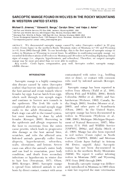 (PDF) Sarcoptic Mange Found in Wolves in the Rocky Mountains in Western ...
