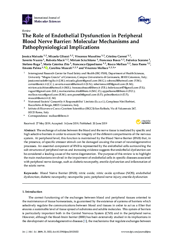 (PDF) The Role of Endothelial Dysfunction in Peripheral Blood Nerve ...