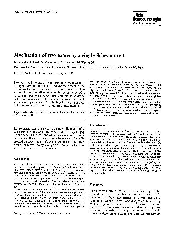 (PDF) Myelination of two axons by a single Schwann cell