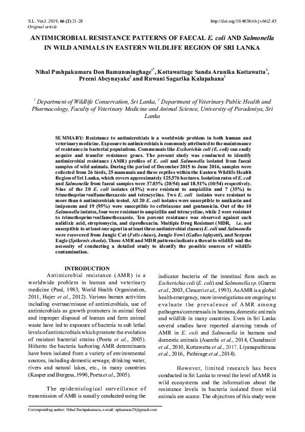 (PDF) Antimicrobial resistance patterns of faecal E. coli and ...