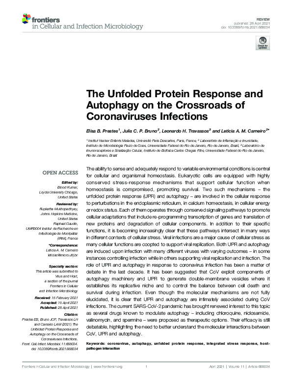 (PDF) The Unfolded Protein Response and Autophagy on the Crossroads of ...