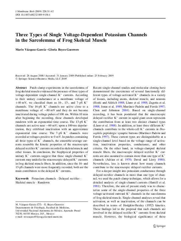 (PDF) Three Types of Single Voltage-Dependent Potassium Channels in the ...