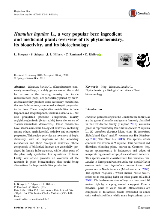 (PDF) Humulus lupulus L., a very popular beer ingredient and medicinal ...