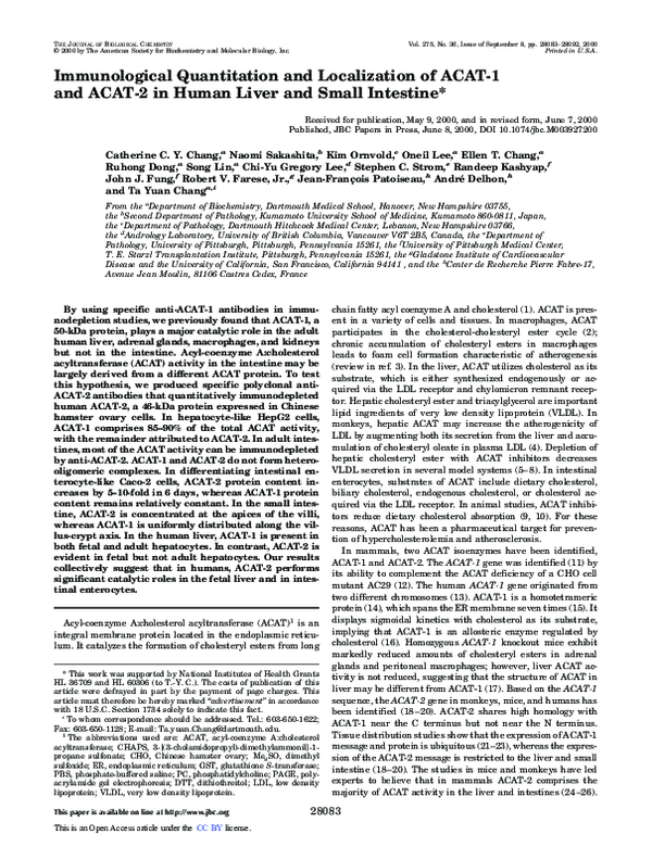 (PDF) Immunological Quantitation and Localization of ACAT-1 and ACAT-2 ...