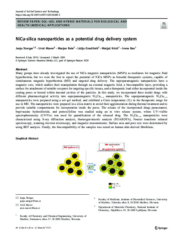 (PDF) NiCu-silica nanoparticles as a potential drug delivery system