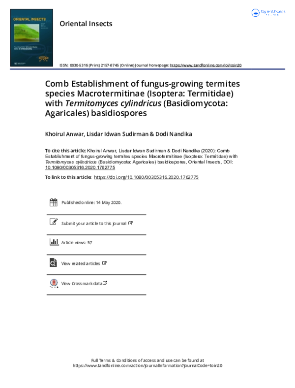 (PDF) Comb Establishment of fungus-growing termites species ...