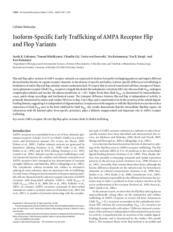 (PDF) Isoform-Specific Early Trafficking of AMPA Receptor Flip and Flop ...