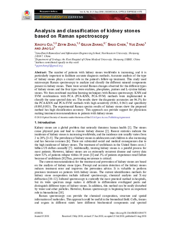 (PDF) Analysis and classification of kidney stones based on Raman
