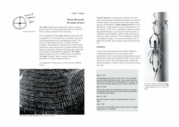 (PDF) Process Research: The Spider Project