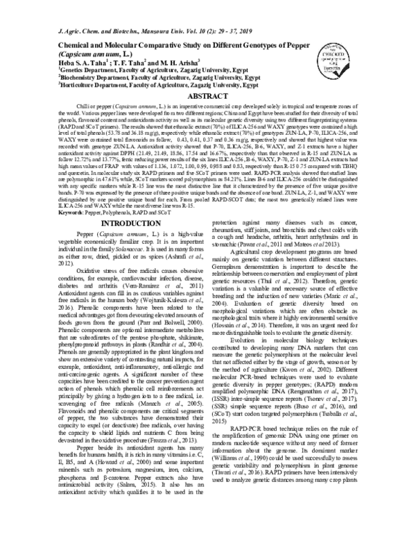 (PDF) Chemical and Molecular Comparative Study on Different Genotypes ...