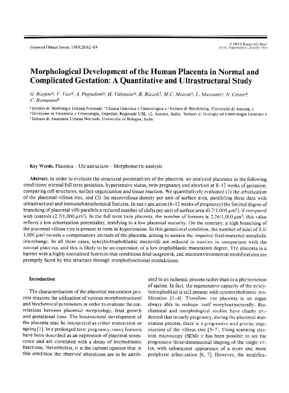 (PDF) Morphological Development of the Human Placenta in Normal and ...