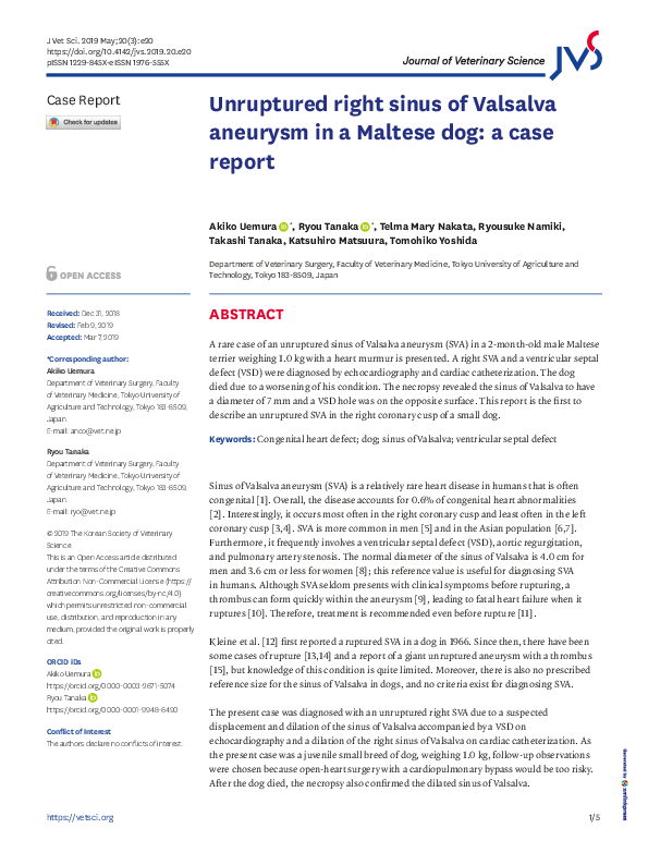 Unruptured right sinus of Valsalva aneurysm in a Maltese dog: a case report