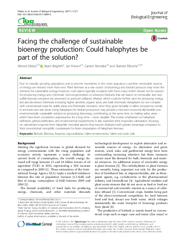 (PDF) Facing the challenge of sustainable bioenergy production: Could ...