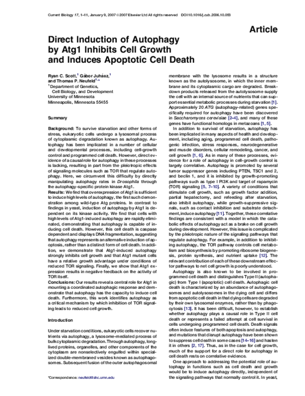 (PDF) Direct Induction of Autophagy by Atg1 Inhibits Cell Growth and ...