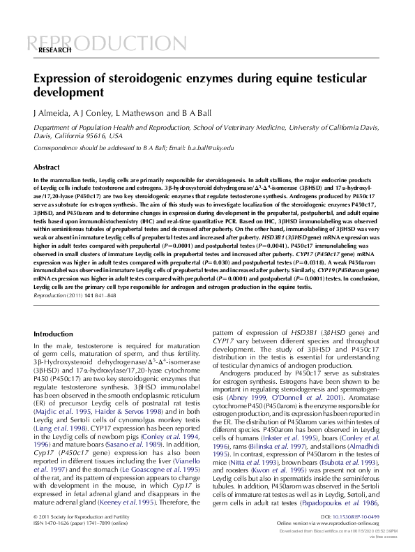 (PDF) Expression of steroidogenic enzymes during equine testicular ...
