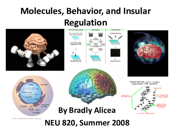(PDF) Molecules, Behavior, and Insular Regulation