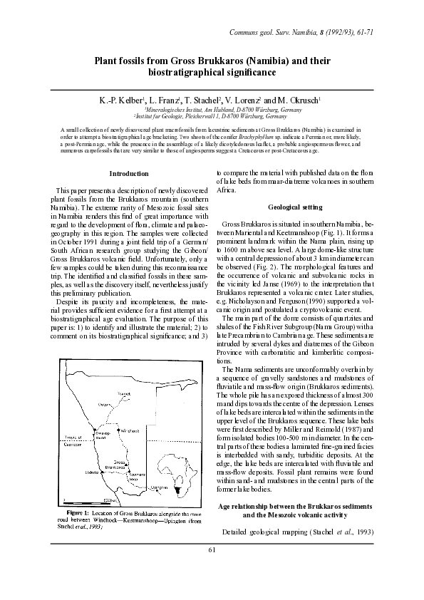 (PDF) Plant fossils from Gross Brukkaros (Namibia) and their