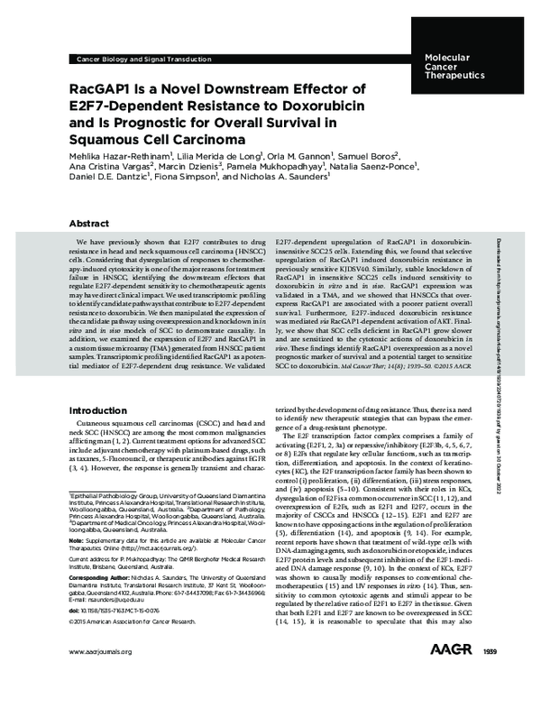 RacGAP1 Is a Novel Downstream Effector of E2F7-Dependent Resistance to Doxorubicin and Is Prognostic for Overall Survival in Squamous Cell Carcinoma