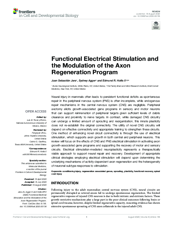 (PDF) Functional Electrical Stimulation and the Modulation of the Axon ...