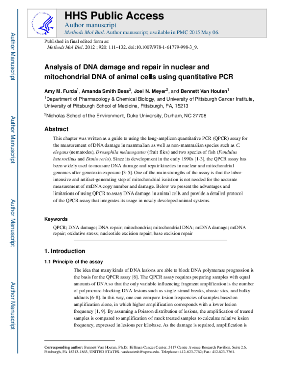 (PDF) Analysis of DNA Damage and Repair in Nuclear and Mitochondrial ...