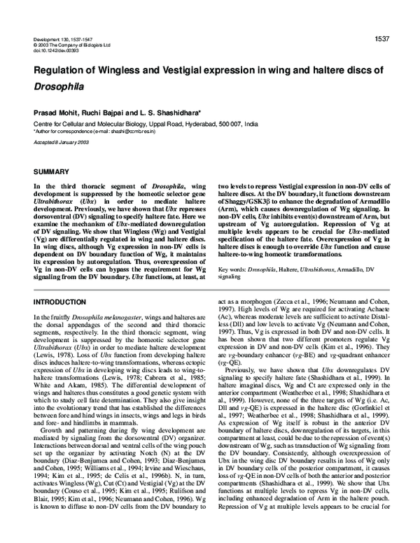 (PDF) Regulation of Wingless and Vestigial expression in wing and ...