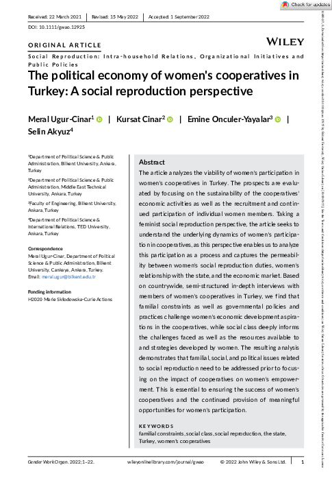 (PDF) The political economy of women s cooperatives in Turkey