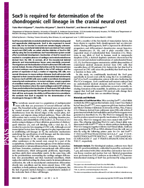 (PDF) Sox9 is required for determination of the chondrogenic cell ...