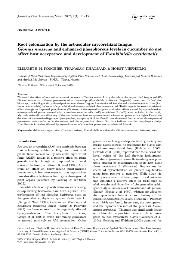 (PDF) Root colonization by the arbuscular mycorrhizal fungusGlomus ...