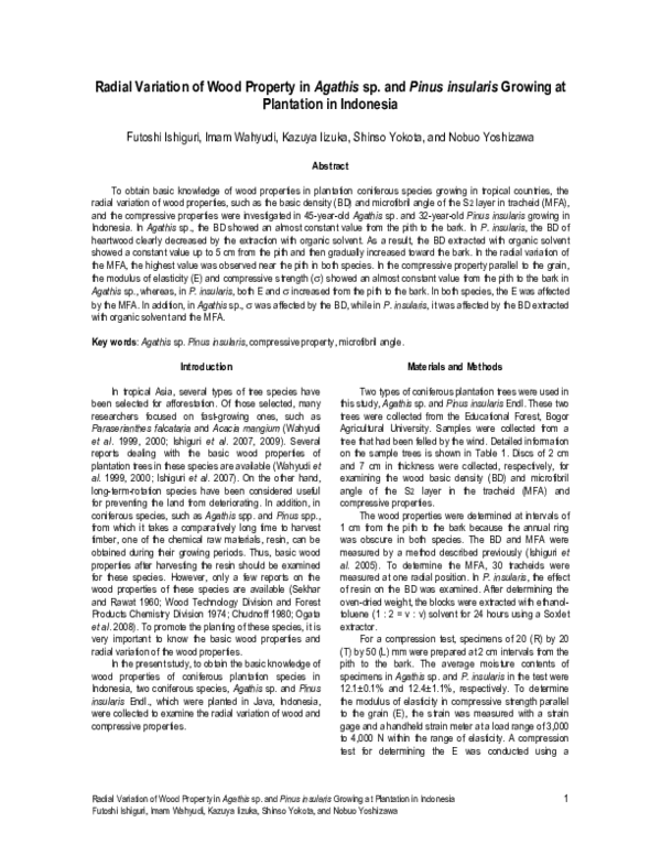 (PDF) Radial Variation of Wood Property in Agathis sp. and Pinus ...