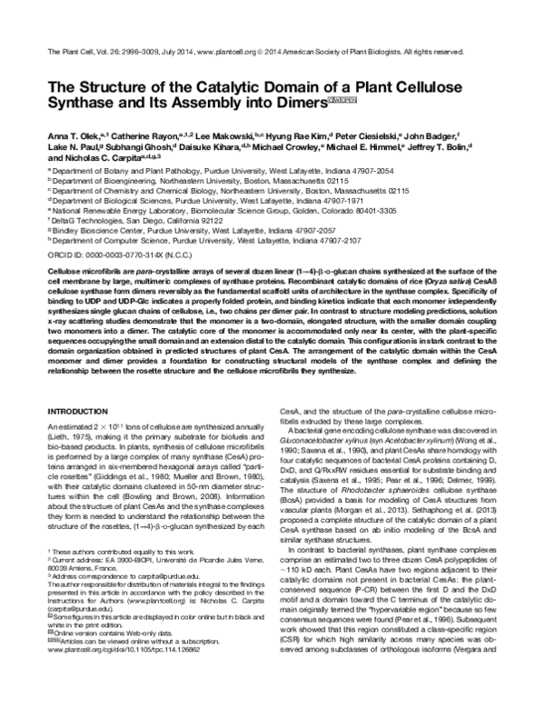 (PDF) The Structure of the Catalytic Domain of a Plant Cellulose ...