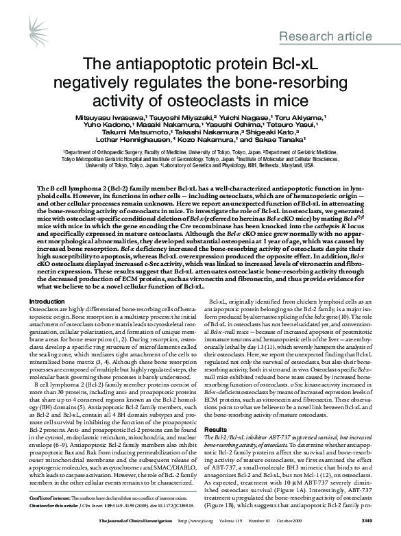 (PDF) The antiapoptotic protein Bcl-xL negatively regulates the bone ...