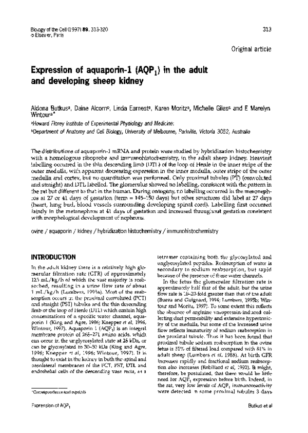 (PDF) Expression of aquaporin-1 (AQP1) in the adult and developing ...