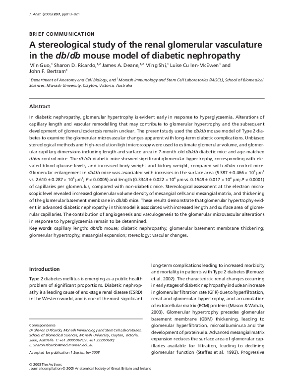 (PDF) A stereological study of the renal glomerular vasculature in the ...