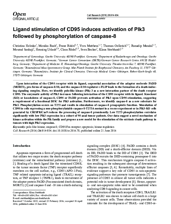 (PDF) Ligand stimulation of CD95 induces activation of Plk3 followed by ...