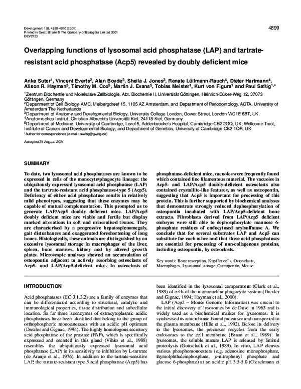 (PDF) Overlapping functions of lysosomal acid phosphatase (LAP) and ...