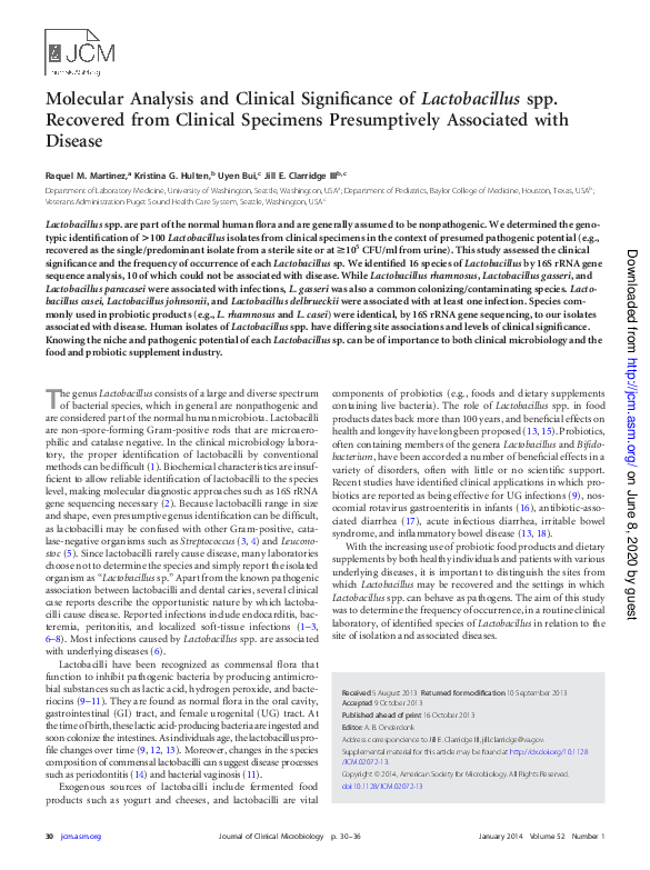 (PDF) Molecular Analysis and Clinical Significance of Lactobacillus spp ...
