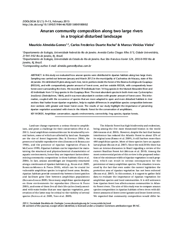 (PDF) Anuran community composition along two large rivers in a tropical ...