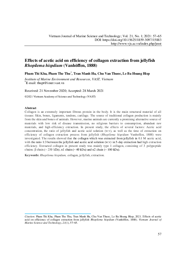 (PDF) Effects of acetic acid on efficiency of collagen extraction from jellyfish \(\textit