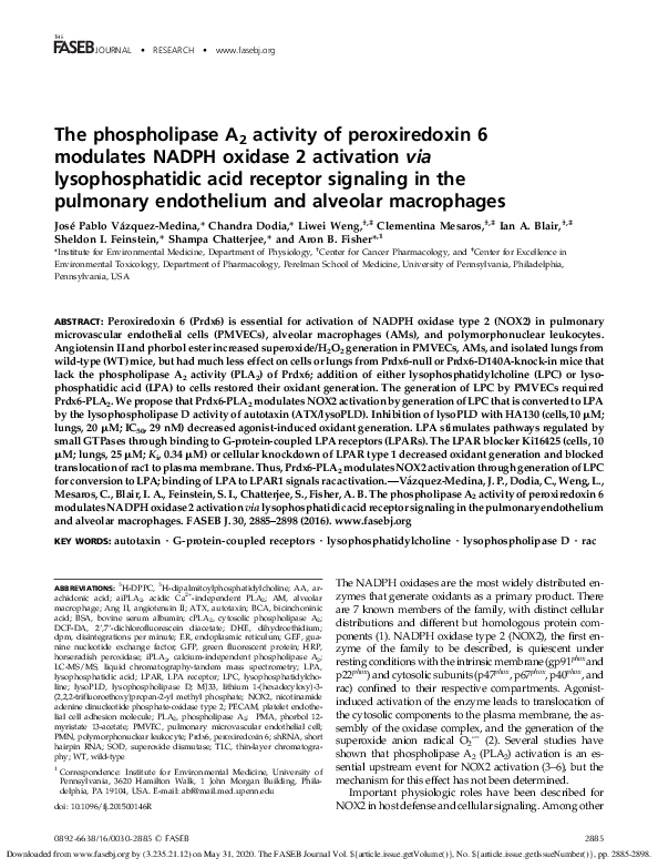 (PDF) The phospholipase A2 activity of peroxiredoxin 6 modulates NADPH ...