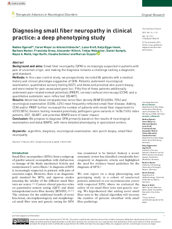 (PDF) Diagnosing small fiber neuropathy in clinical practice: a deep ...