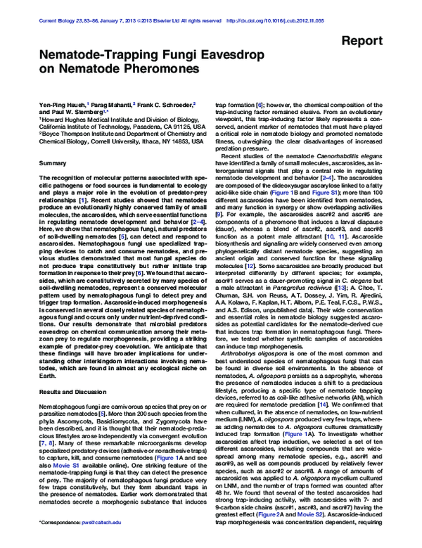 (PDF) NematodeTrapping Fungi Eavesdrop on Nematode Pheromones Frank